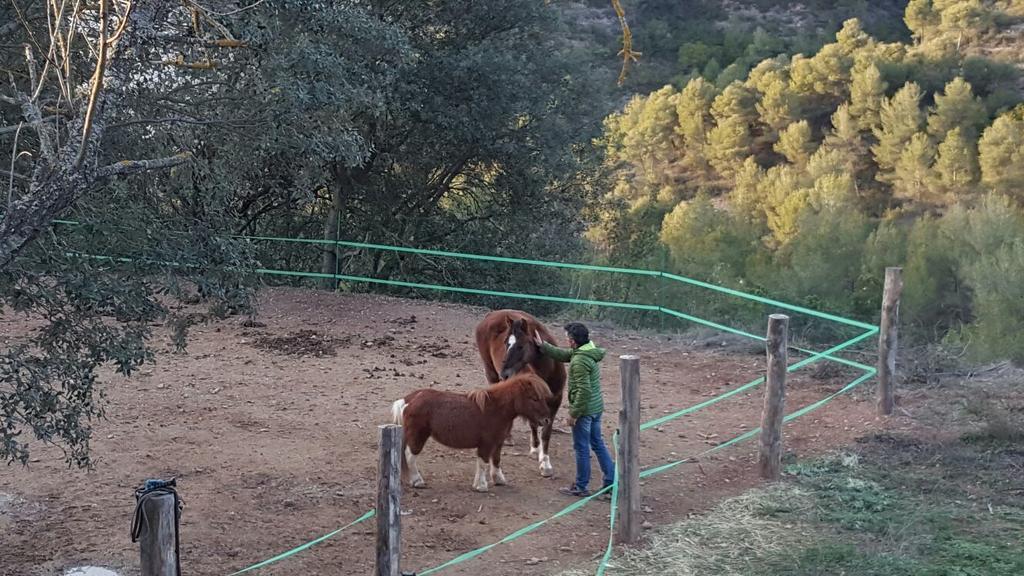 Masia Casajoana Rural Rellinars 외부 사진