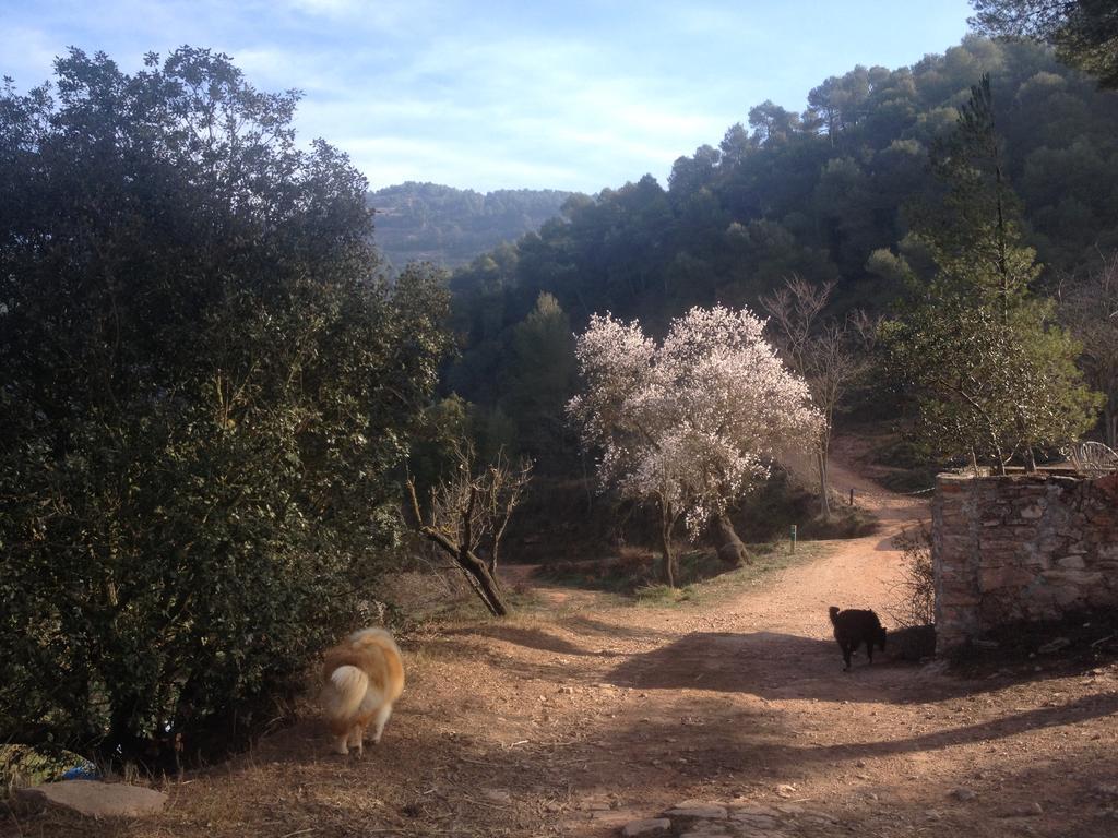 Masia Casajoana Rural Rellinars 외부 사진