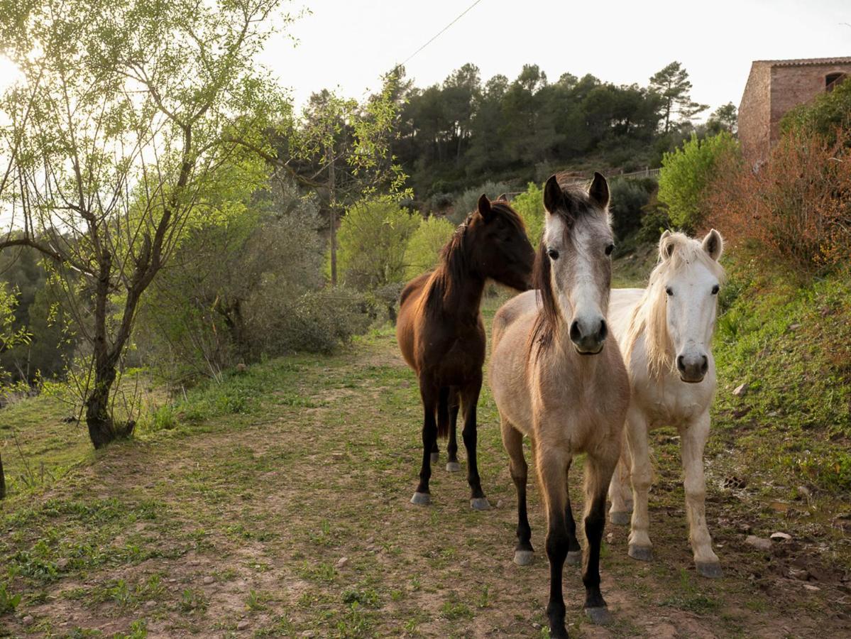 Masia Casajoana Rural Rellinars 외부 사진